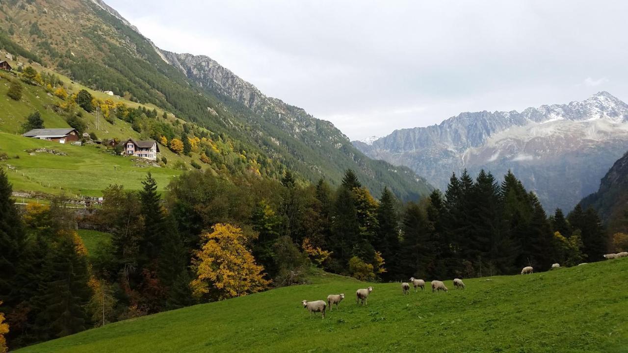 Gästehaus Alpenglühn Meien Exterior foto